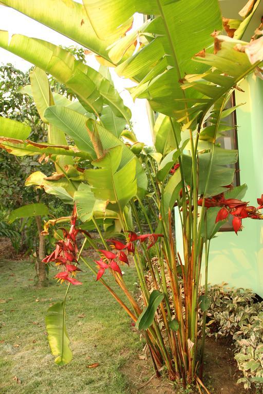 Paan Yong Villa Ban Thi Exterior photo